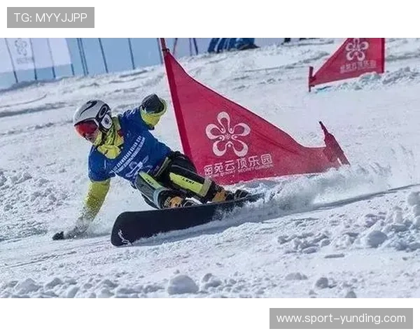 云顶国际体育平台怎么样了解平台的会员制度与积分奖励体系